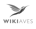 Wikiaves